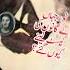 Unique Incident Of Yahya Khan History Of Pakistan