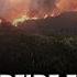 Canada Wildfires Manitoba Declares Emergency 17 000 Evacuated Military Deployed