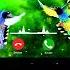 Bird Ringtone Instrument Ringtone New Sad Ringtone Most Popular Birds Ringones