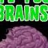 Plants VS Zombies 2 The Zombies Ate Your Brains