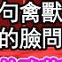 嫁給太傅那天我7歲 還是個半大的奶娃娃 他大罵一句禽獸關起府門 晚上捏著我的臉問我叫他什麼 我笑眯眯的眯著眼大哥哥 直到18歲他說禽獸哥哥要改口了 為人處世 生活經驗 情感故事 養老 退休