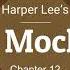 To Kill A Mockingbird Audio Ch 12