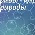 Биология 7 кл Пасечник 5 Грибы царство живой природы