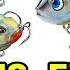 CRAZY Looking Paint Schemed Handing Fishing Baits Review