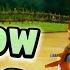 Mario Kart Wii Custom Track Troy Vs Shadow Woods