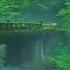 Nature Sounds Relaxing Music Short Nature Relaxing Shorts