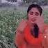 Muskan Zahra Official New Funny Video Of The Good