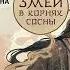 Аудиокнига Марии Дубининой Соры Наумовой Серебряный змей в корнях сосны