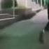 Дай Мне почувствовать кайф М5 ремикс