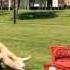 Let The Good Times Roll Heinz Moving Picnic Present Part 4
