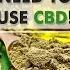 Why You Need To Use CBD The Endocannabinoid System Explained