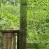 Journey From Pain To Hope Mother Huyen Saves A Girl From Her Evil Husband Lifesingle
