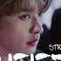 8D STRAY KIDS FREEZE WEAR HEADPHONE