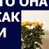 Истории из жизни Когда наша дочь навещает мою маму то свекровь говорит что она такая же