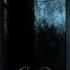 Woods Of Desolation The Inevitable End Album Torn Beyond Reason