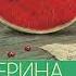 Екатерина Вильям Вильмонт Гормон счастья и прочие глупости Аудиокнига