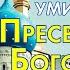 Канон умилительный ко Пресвятой Богородице пред иконой Неувядаемый цвет