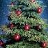 O Christmas Tree O Christmas Tree Instrumental Lap Steel Guitar Cover By C Garrett