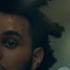 The Weeknd Wasted Times Music Video