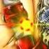 HD Nightcore Dangerous David Guetta Ft Sam Martin