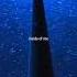 Faded Alan Walker Lyrics Aesthetic Whatsapp Status English Songs Slowed Song Music Edit