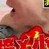 貓咪粉紅床單上爽拉 塊狀物 男崩潰台語激吼 又愛又恨 TVBS新聞 TVBSNEWS01