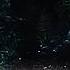 The Indominus Rex Jurassicworld Indominusrex Shorts