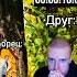 пение птиц мем Mellstroy Shorts