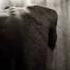 I Love You I Ll Kill You Wmv