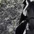OPUS DORIA Prologue The Mission Short Film Version Official Video