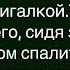 Как Зять Гонялся По Квартире За Мухой Сборник Смешных Анекдотов Юмор Позитив