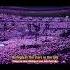Once Upon A Time Max Oazo Ft Moonessa Lyrics Vietsub