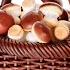 Chocolate Mushroom Basket