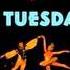 The Real Tuesday Weld Someday Never