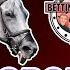 FAIR GROUNDS OPENING WEEKEND SATURDAY PREVIEW Ep 107 Bettin N Boozin