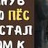 Зачем мне нужна пустышка жена которая детей родить не может кричал муж уходя из семьи