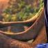 Rio 2 Roberto S And Jewel Full Mini Scene P1