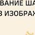 954 Моделирование шариатской одежды без изображения лица Иса Абу Абдуррахман