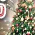 VLOGMAS 03 12 читаем гуляем С жизнью наедине