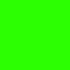 Jungle Green Screen