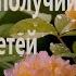 Молитва о детях их благополучии и здоровье самому прозорливому из старцев Нектарию Оптинскому