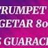 FREE SEMPEL FULL TRUMPET PARTY GUARACHA LOOPS GUARACHA