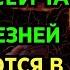 СЕКРЕТ ИСЦЕЛЕНИЯ 99 БОЛЕЗНЕЙ БЕЗ ЛЕКАРСТВ Натуральный метод доктора Хироми Шинья