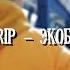 StealTrip ЭкоБлоггер Пародия на Джарахов ROCK N ROFL INTRO