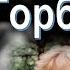 Михаил Горбачёв Ну и правильно
