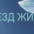 Поезд жизни стихотворение