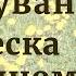Лечебное простое средство из одуванчиков Лекция Ирины Стефановской Фитотерапия Выпуск 70