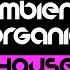 RUBO DJOTA PRESENT AMBIENT ORGANIC HOUSE 001