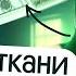 ТКАНИ РАСТЕНИЙ для ОГЭ по БИОЛОГИИ ОТКРЫТЫЙ УРОК сентябрьского курса