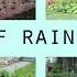 Rain Gardens 101 Part Two Types Of Rain Gardens